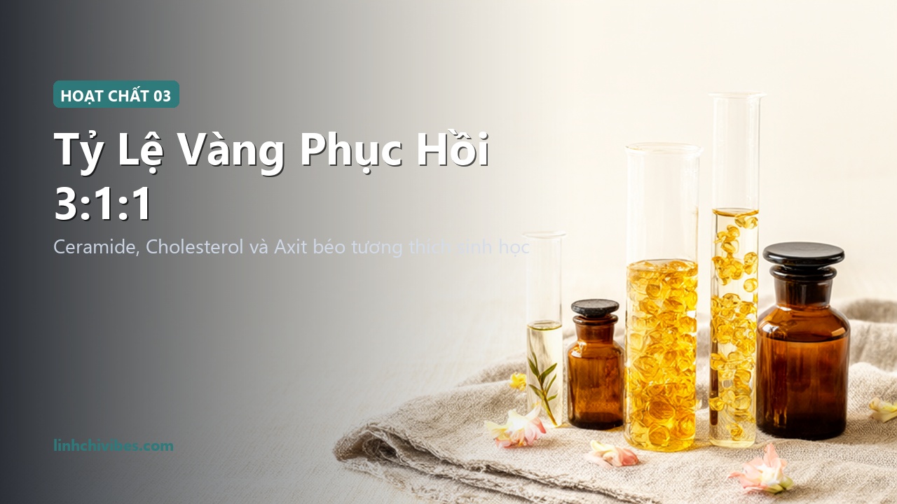 Tỷ lệ vàng Ceramide Cholesterol Axit béo phục hồi màng ẩm