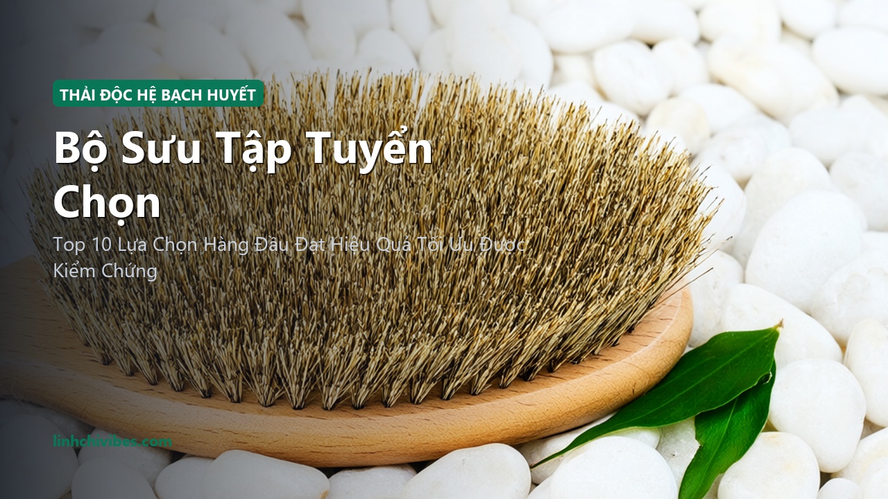 Top 10 Dụng Cụ Massage Thải Độc Hệ Bạch Huyết & Chăm Sóc Body Săn Chắc Tại Nhà - Bộ sưu tập tuyển chọn (linhchivibes.com)