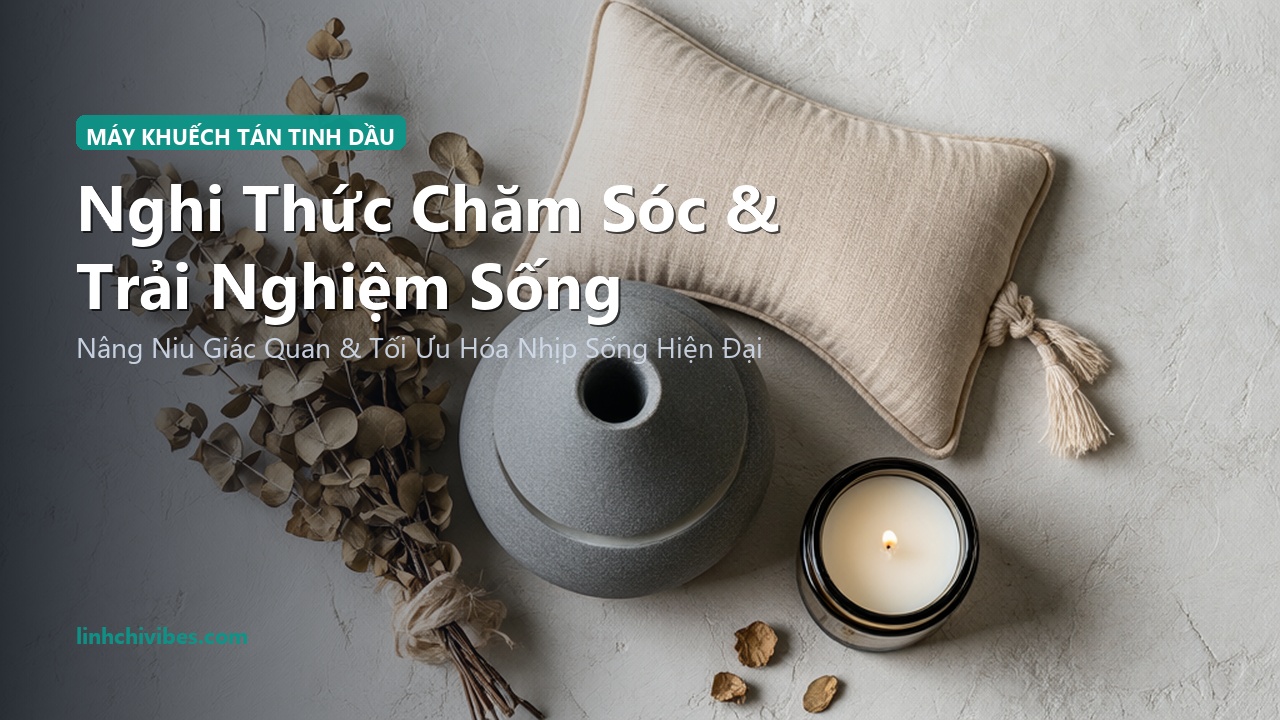 Top 10 Máy Phun Tinh Dầu Siêu Âm Vỏ Gốm Sứ Cao Cấp Cho Spa Tại Nhà 2026 - Nghi thức chăm sóc và trải nghiệm sống (linhchivibes.com)