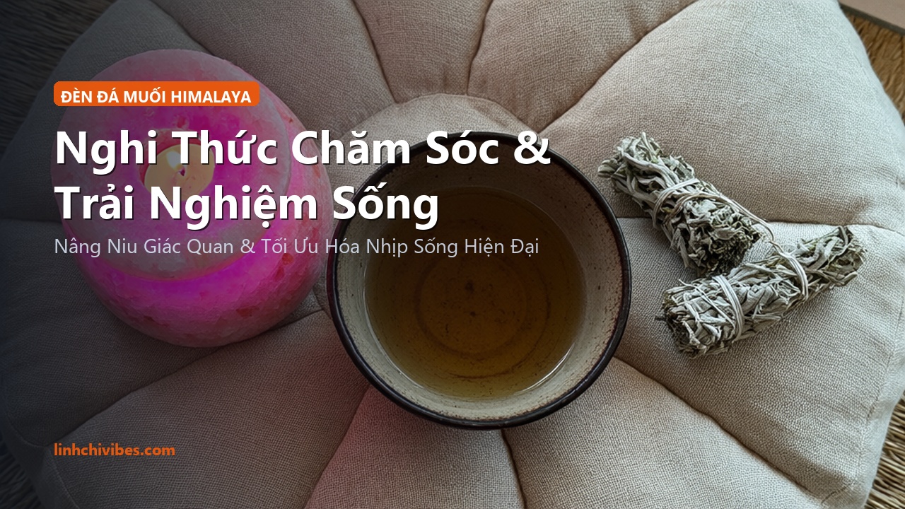 Top 10 Đèn Đá Muối Hồng Himalaya Tự Nhiên Thư Giãn Giảm Sóng Điện Từ 2026 - Nghi thức chăm sóc và trải nghiệm sống (linhchivibes.com)
