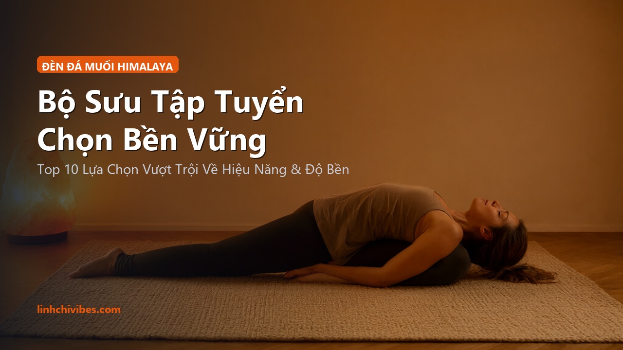 Top 10 Đèn Đá Muối Hồng Himalaya Tự Nhiên Thư Giãn Giảm Sóng Điện Từ 2026 - Bộ sưu tập tuyển chọn bền vững (linhchivibes.com)