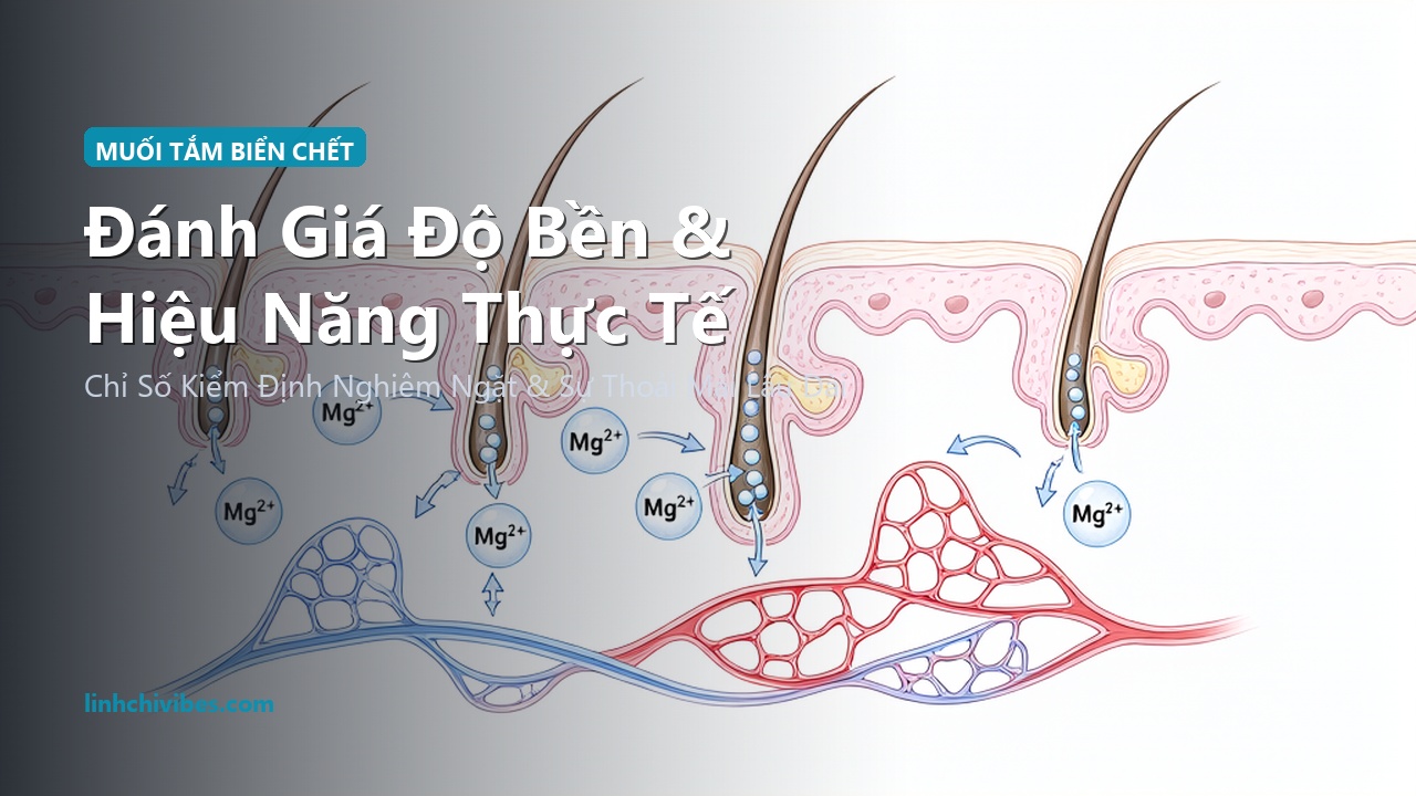 Top 10 Muối Tắm Khoáng Biển Chết & Muối Epsom Magie Thư Giãn Cơ Bắp 2026 - Đánh giá độ bền và hiệu năng thực tế (linhchivibes.com)