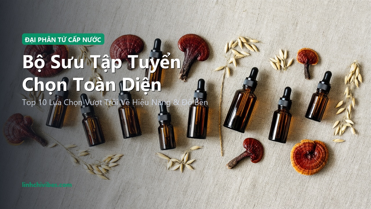 Top 10 Serum Beta-Glucan Cấp Nước Tầng Sâu & Phục Hồi Da Căng Bóng 2026 - Bộ sưu tập tuyển chọn hàng đầu (linhchivibes.com)