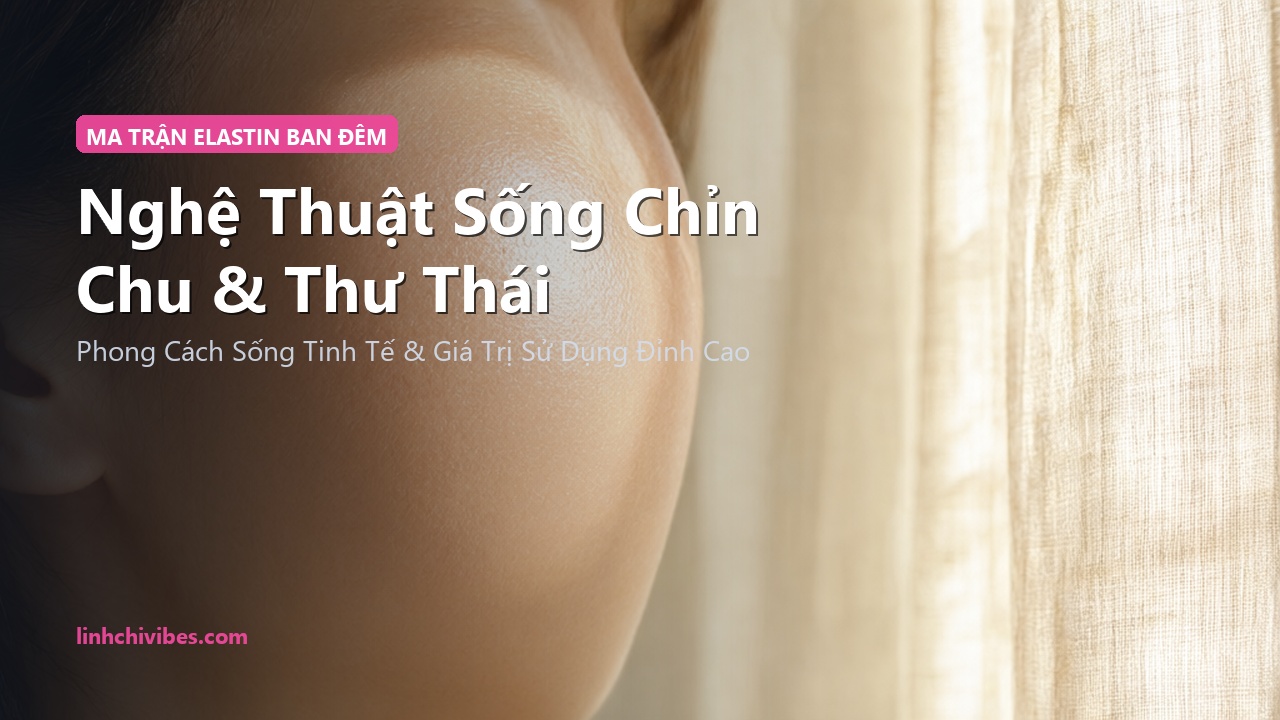 Top 10 Mặt Nạ Ngủ Collagen Thủy Phân Nâng Cơ & Căng Mọng Da 2026 - Nghệ thuật sống chỉn chu (linhchivibes.com)