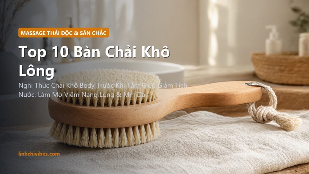Top 10 Bàn Chải Khô Lông Tự Nhiên Massage Thải Độc Hệ Bạch Huyết & Săn Chắc Da 2026 (linhchivibes.com)