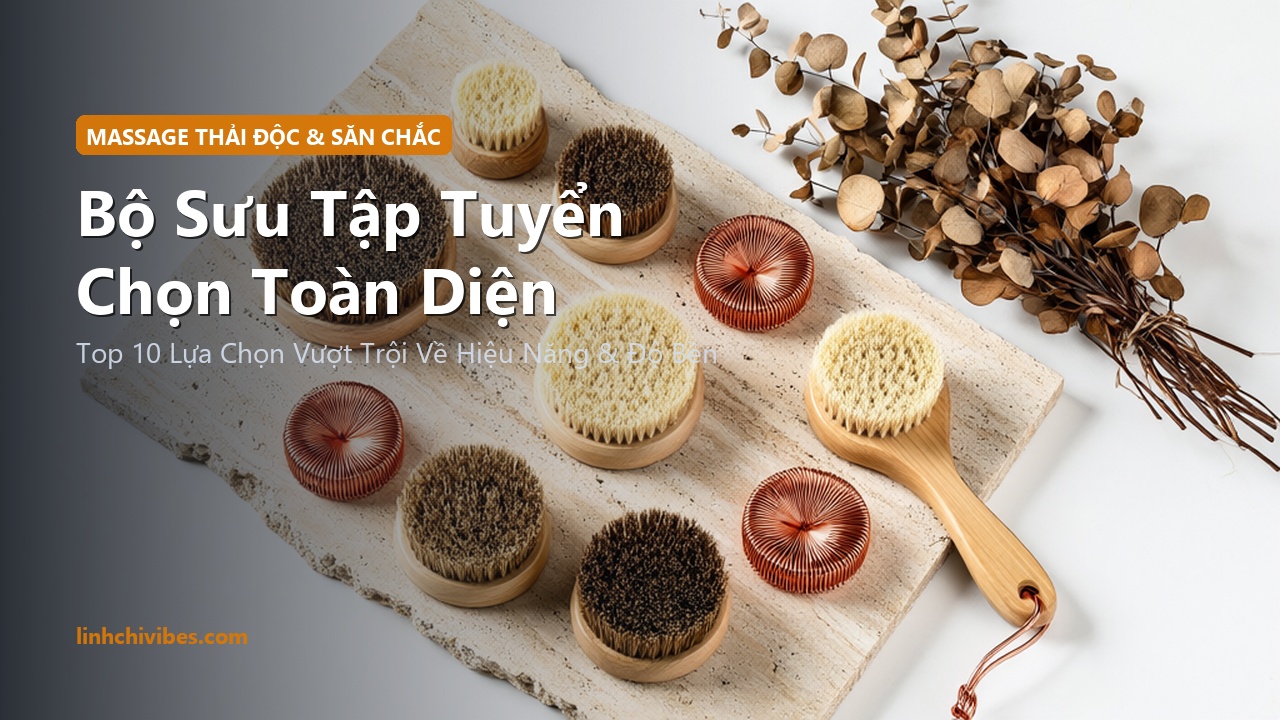 Top 10 Bàn Chải Khô Lông Tự Nhiên Massage Thải Độc Hệ Bạch Huyết & Săn Chắc Da 2026 - Bộ sưu tập tuyển chọn hàng đầu (linhchivibes.com)