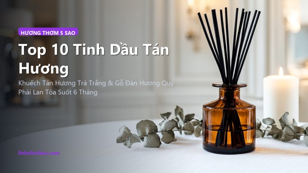 Top 10 Tinh Dầu Tán Hương & Xịt Phòng Chuẩn Khách Sạn 5 Sao Sang Trọng (linhchivibes.com)