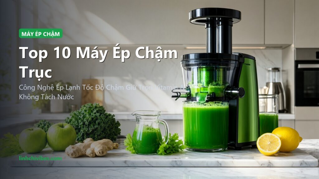 Top 10 Máy Ép Chậm Trục Ngang Giữ Trọn Dưỡng Chất & Enzyme Tươi Tốt Nhất (linhchivibes.com)