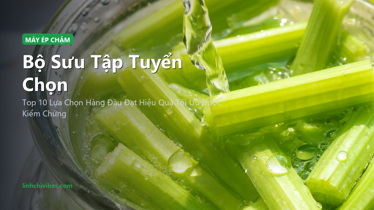 Top 10 Máy Ép Chậm Trục Ngang Giữ Trọn Dưỡng Chất & Enzyme Tươi Tốt Nhất - Bộ sưu tập tuyển chọn (linhchivibes.com)