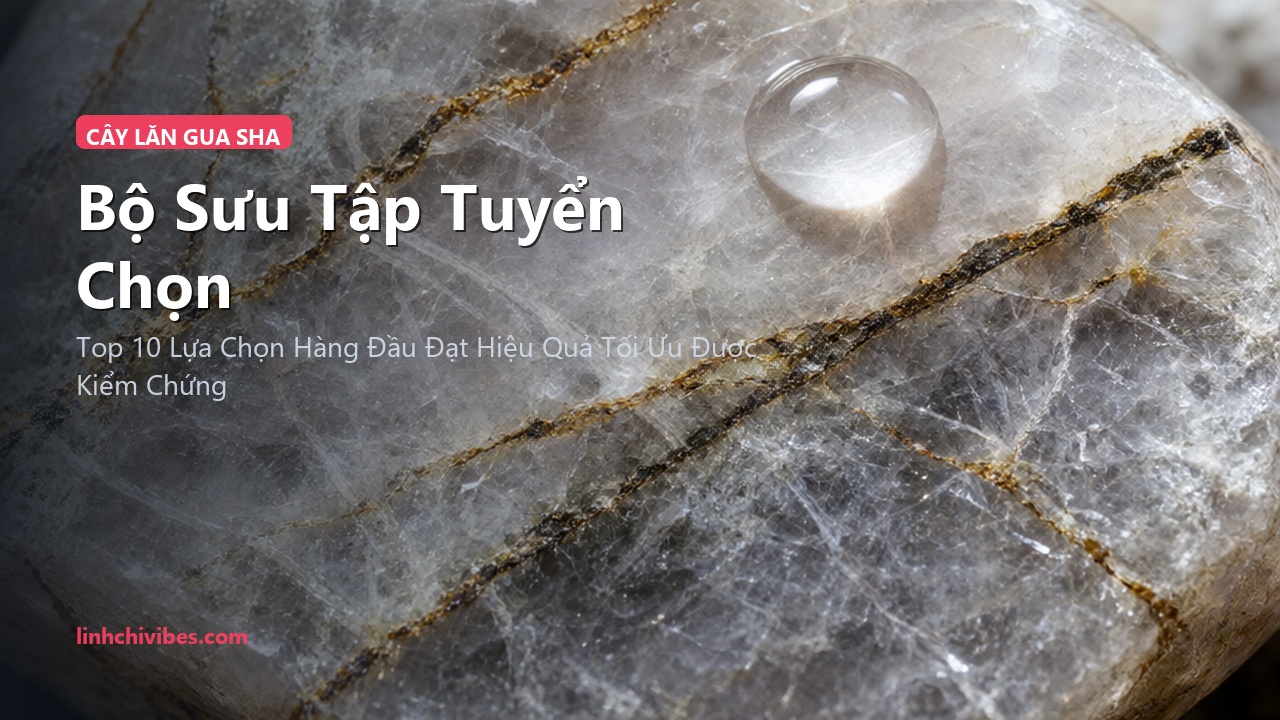Top 10 Cây Lăn Massage Mặt & Đá Gua Sha Thạch Anh Hồng Nâng Cơ Trẻ Hóa Tự Nhiên - Bộ sưu tập tuyển chọn (linhchivibes.com)