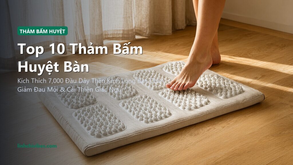 Top 10 Thảm Bấm Huyệt Bàn Chân & Gai Trị Liệu Thư Giãn Huyệt Đạo Tại Nhà (linhchivibes.com)