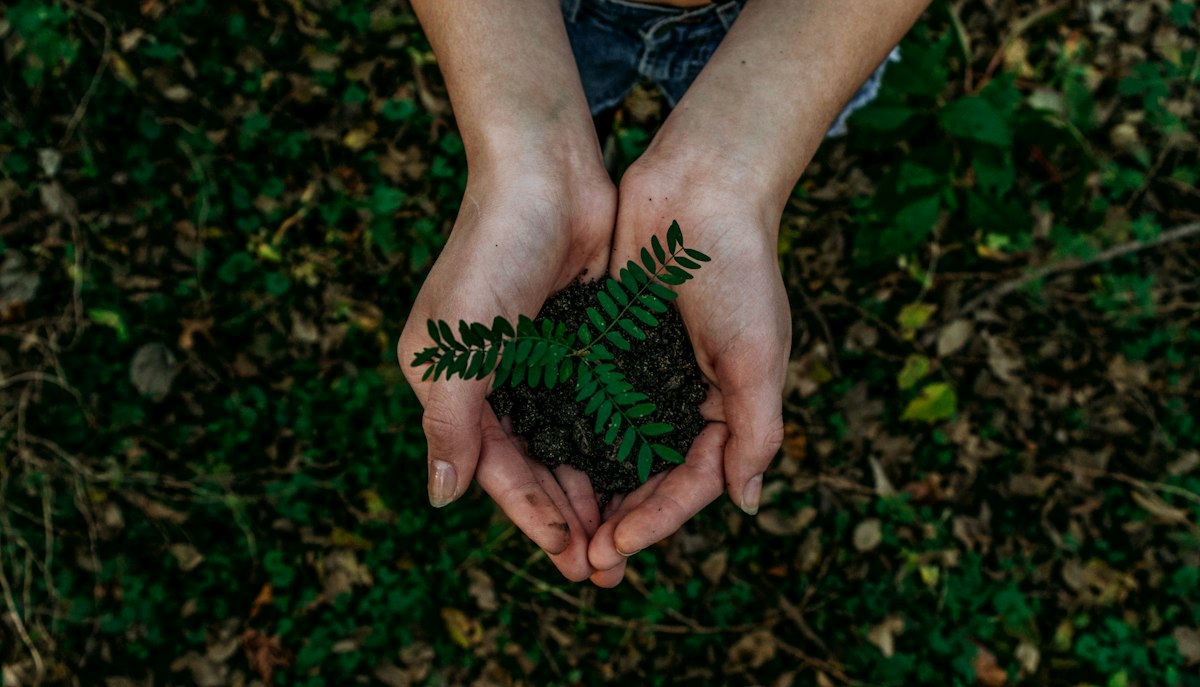 Lối sống xanh Zero Waste bền vững cho phái đẹp hiện đại