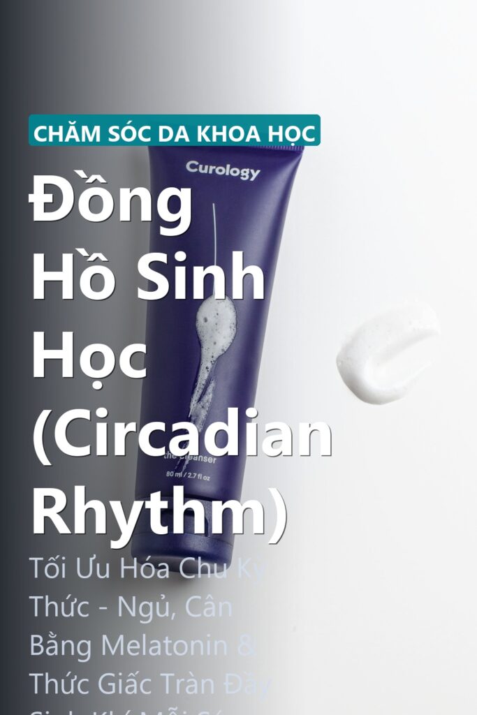 Đồng Hồ Sinh Học (Circadian Rhythm) ảnh bìa tạp chí phong cách Linh Chi Vibes