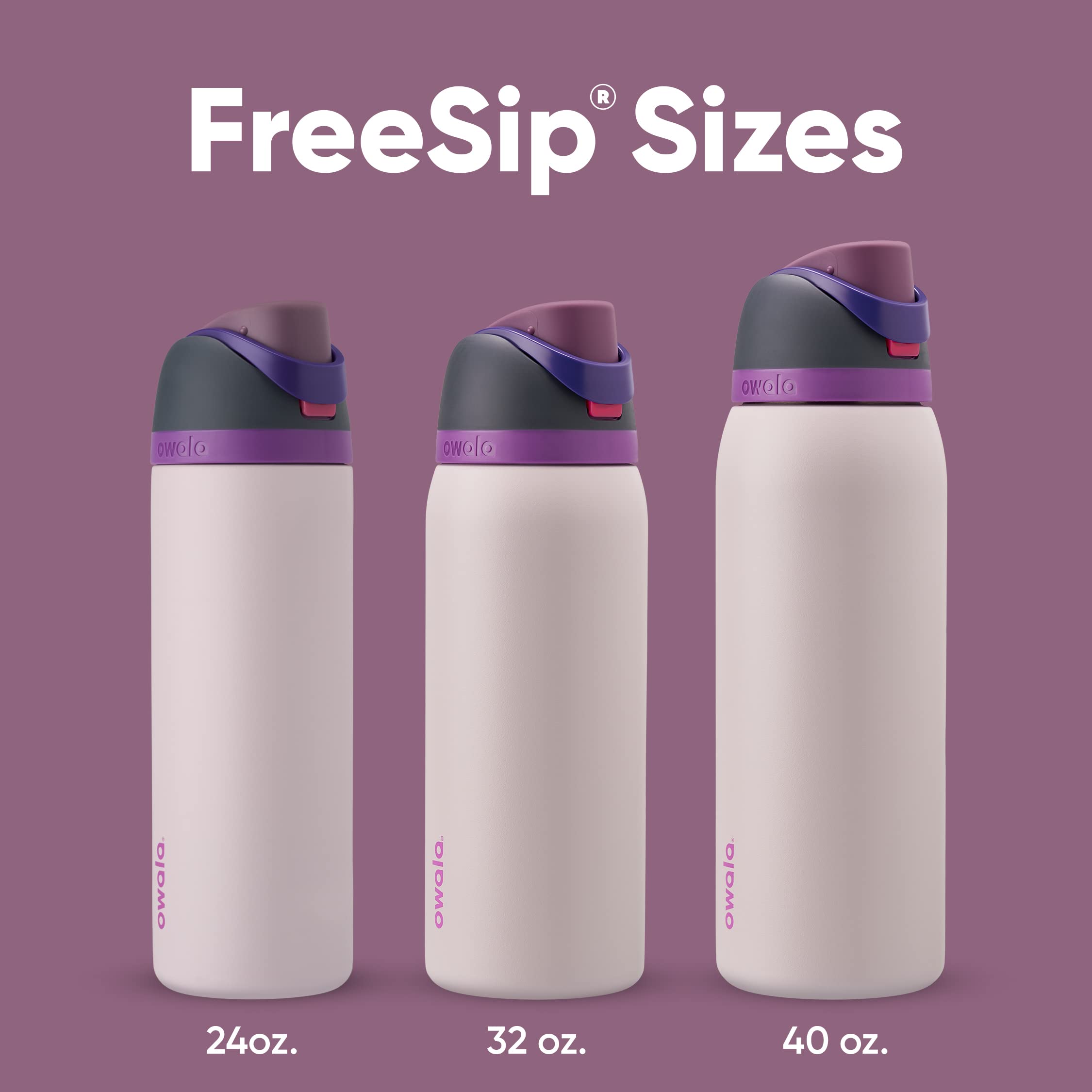 Owala FreeSip Insulated Stainless Steel Water Bottle (32 oz)