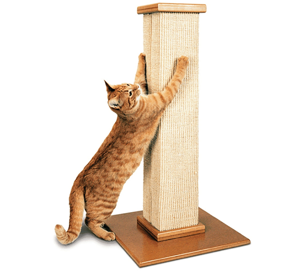 SmartCat Pioneer Pet Ultimate Scratching Post