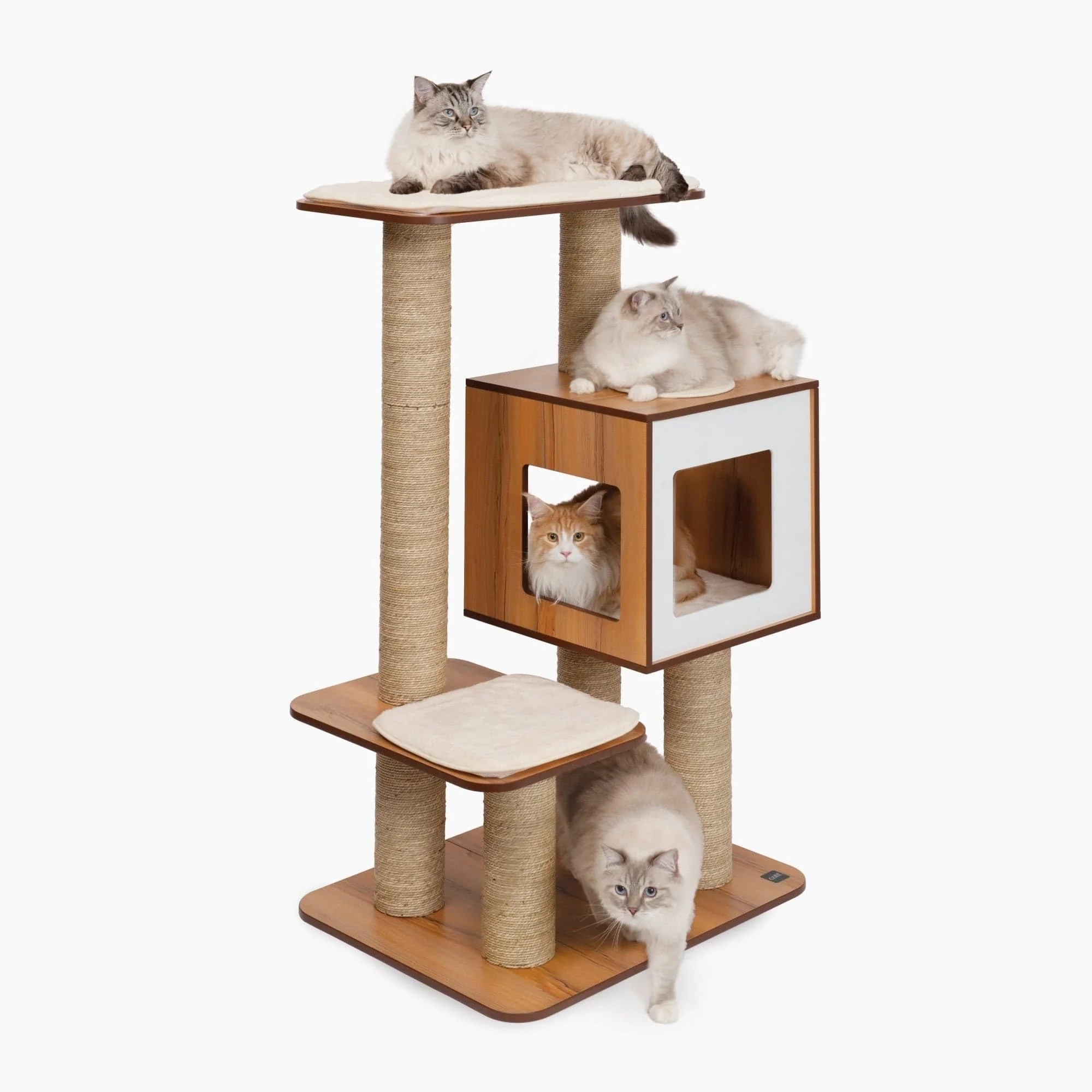 Vesper Modern Cat Furniture High Base Walnut Tree
