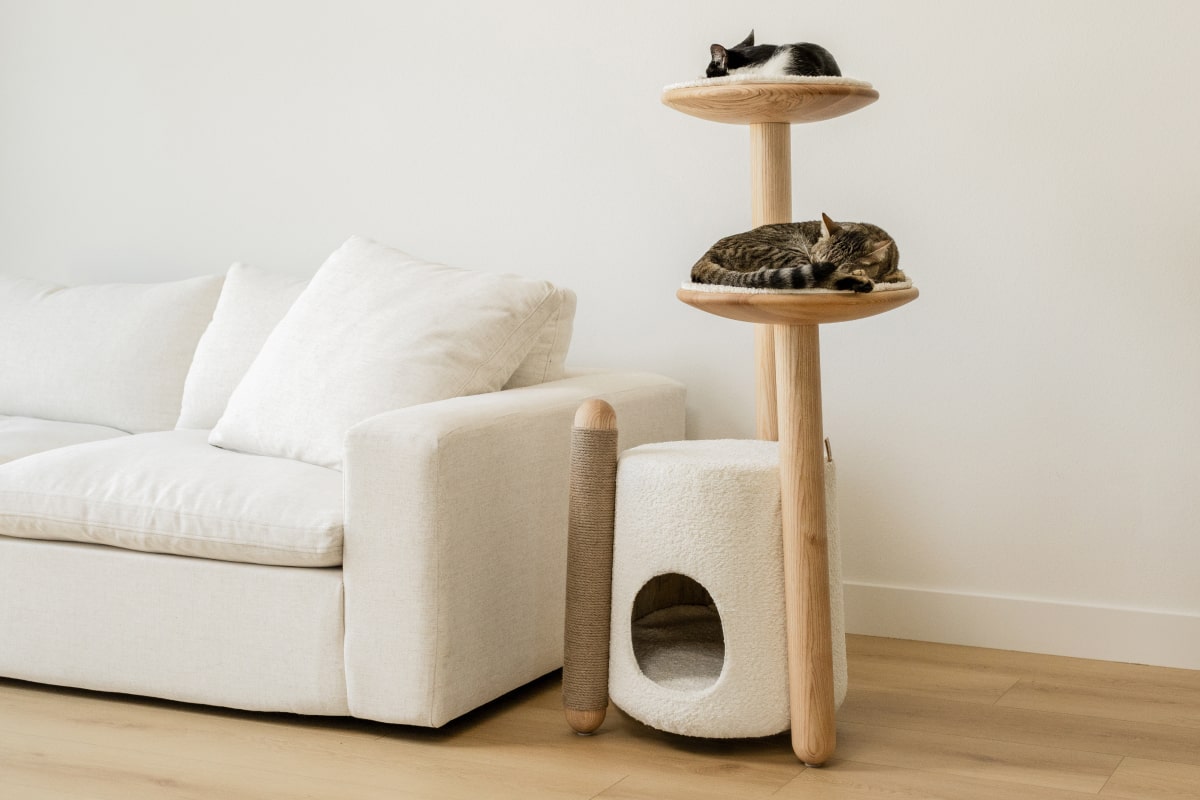 Mau Lifestyle Modern Wooden Cat Tree with Perch