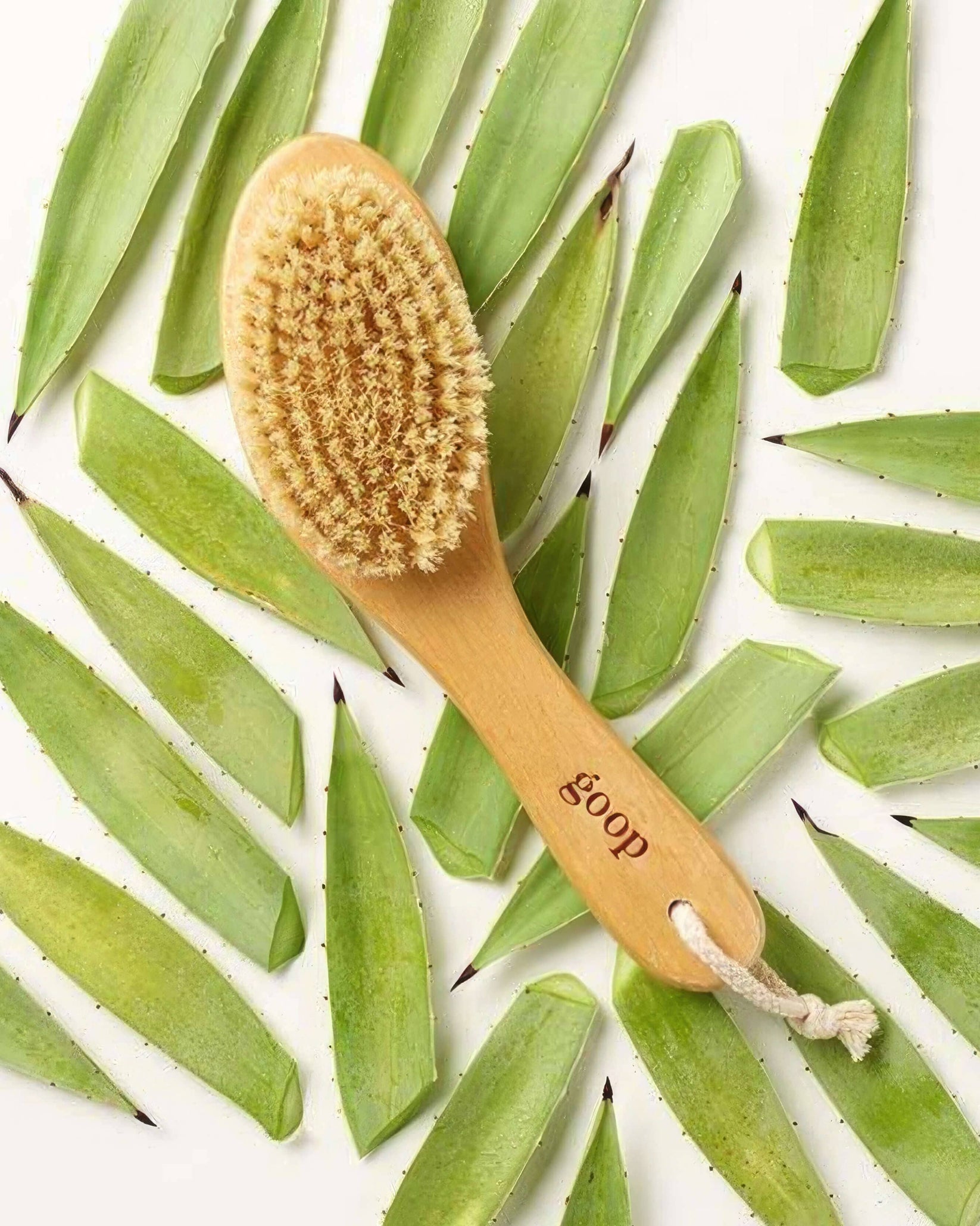 Goop G.Tox Ultimate Dry Brush with Sisal Bristles